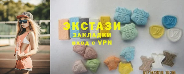 дмт Ельня
