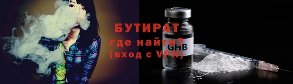 дмт Ельня