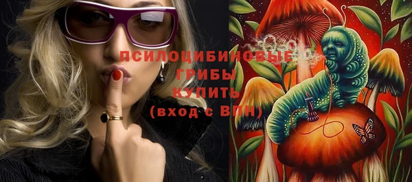 дмт Ельня