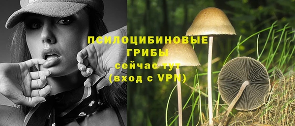 первитин Елабуга