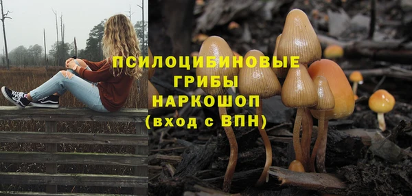 синтетический гашиш Надым