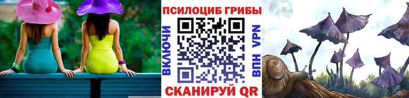 Галлюциногенные грибы мицелий Динская